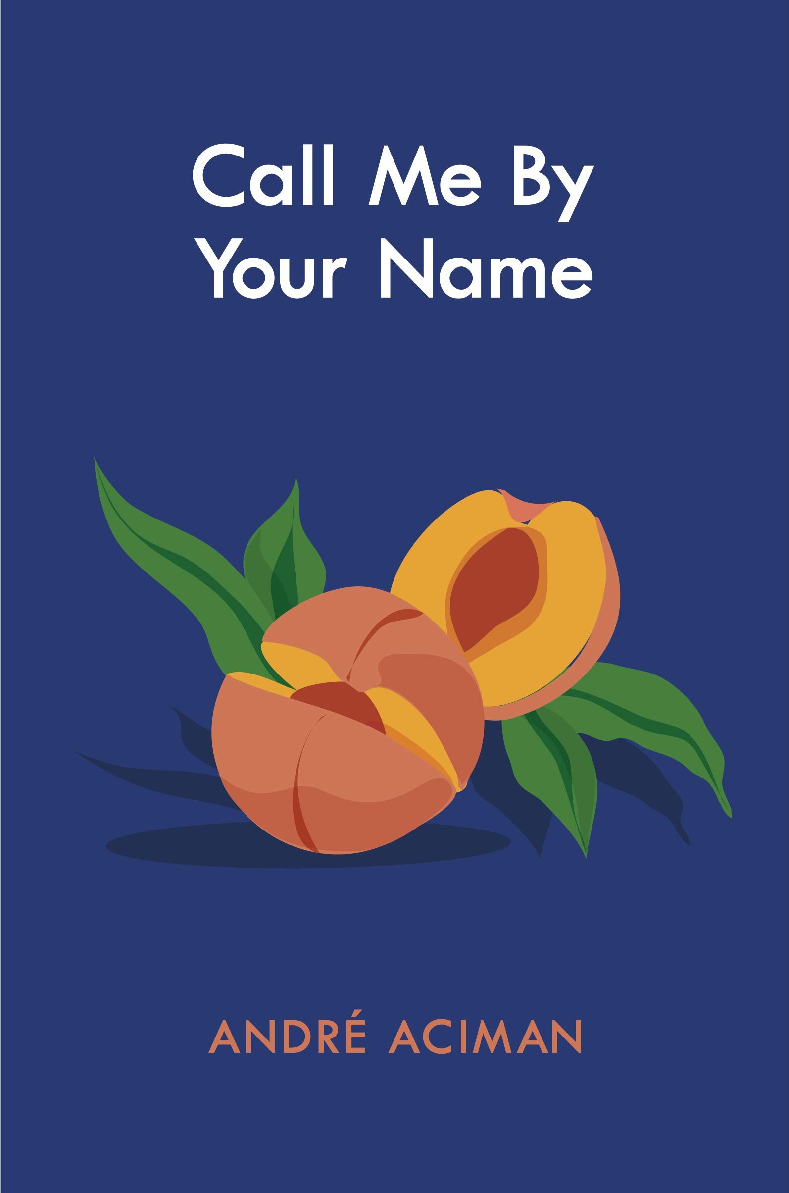 Aciman A Call Me By Your Name Aciman Andre Amazon De Bucher
