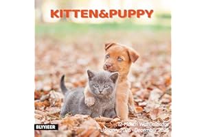 BLYYIEER 2025 Wall Calendar,Calendar 2025,Kittens & Puppies Monthly Wall Calendar, 12" x 24" Open,Family Planner Calendar Organizer with Cute kittens & Puppies Images, for Cat & Dogs Lovers