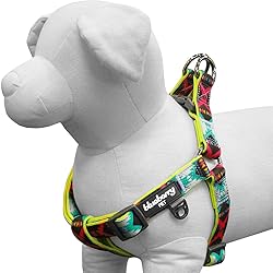 Blueberry Pet 2 Colors Soft & Comfy Step-in