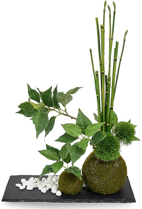 Amazon Cupbon 桜の葉 寄せ植え苔玉 黒岩皿 盆栽 造花 フェイクグリーン 人工観葉植物 オンライン通販