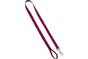 Moose Pet Wear Standard Dog Leash - Colored Heavy Duty Pet Leashes, 1 Inch x 6 Feet, Raspberry