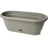 Bloem Living LWB1860 Lucca Self-Watering Window Box, 18-Inch, Peppercorn