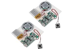 UMLIFE 2PCS Programmable Sound Recorder Module - DIY Music Voice Recording Module Chip with Speaker, Recording 16 Minutes Sound Music for Personalized Greetings, DIY Projects and Holiday Crafts Cards
