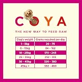 COYA Freeze-Dried Dog Food Pork 150g 80/20 Grain Free Hypoallergenic view 4