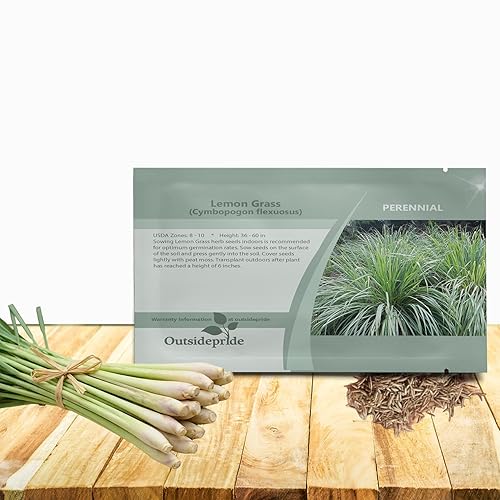 large plant pot Campania International | Tall Borsa Planter main image 0