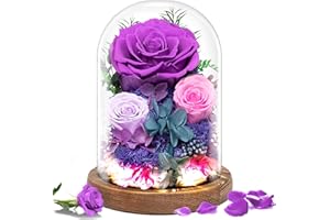 Impouo Valentine's Day Flowers Gifts for Her,Preserved Rose in Glass Dome, Forever Flowers for Delivery,Birthday Gifts for Wife Women, Grilfriend Mom-Purple