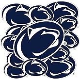 Desert Cactus The Pennsylvania State University Sticker Penn State PSU Nittany Lions Vinyl Decals Laptop Water Bottle Car Scrapbook Sheet T3 (Type 3-1)