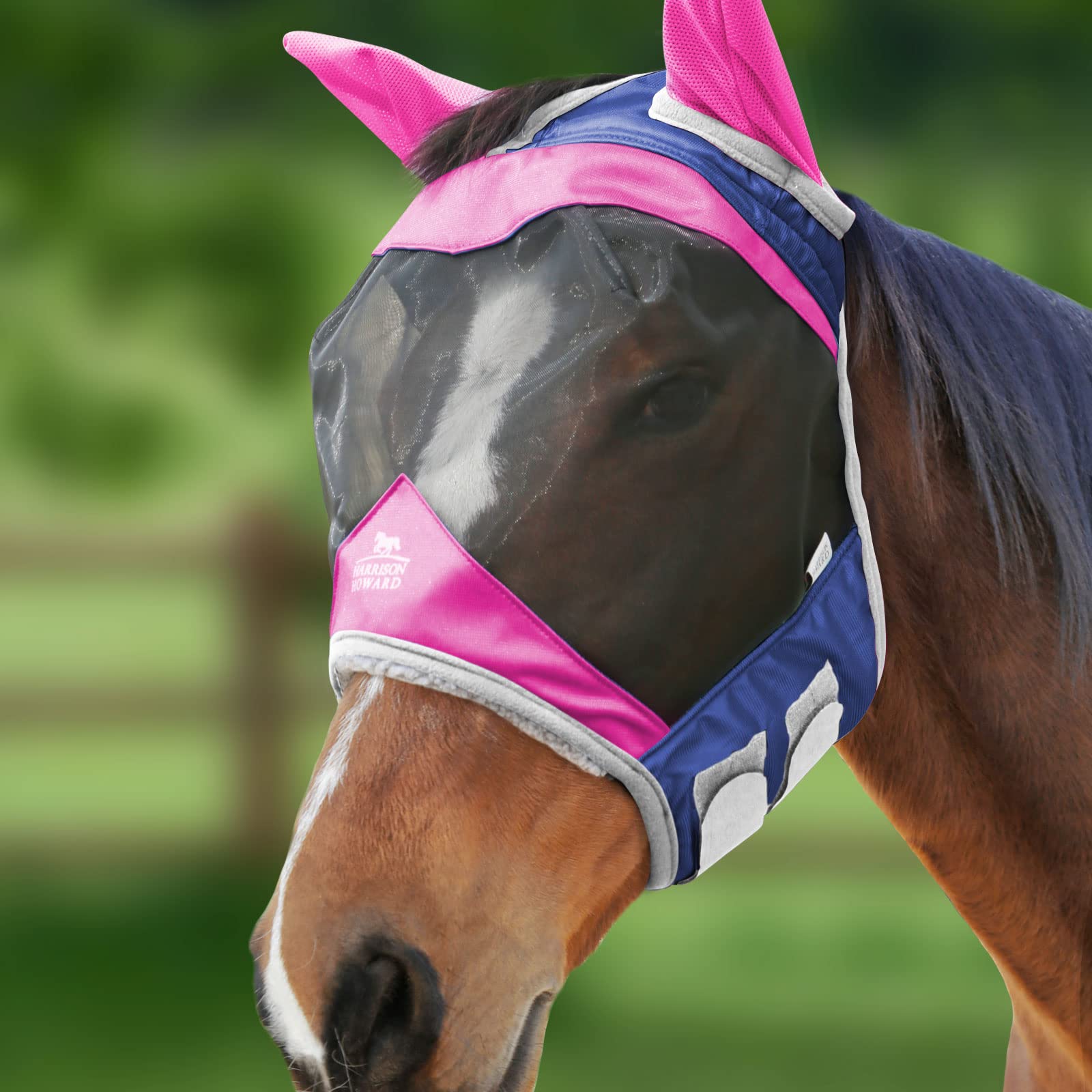 Harrison Howard Horse Fly Mask Standard with Ears-Fuchsia/Navy (L; Full Size)