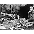 Five Million Years To Earth (Aka Quatermass And The Pit) James Donald Andrew Keir 1967 Tm And ?Copyright Twentieth Century Fox All Rights ReservedCourtesy Everett Collection Photo Print (14 x 11)