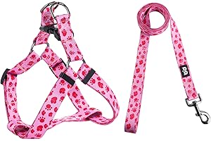 QQPETS Dog Harness Leash Set Adjustable Heavy Duty No Pull Halter Harnesses for Small Medium Large Breed Dogs Back Clip Anti-Twist Perfect for Walking