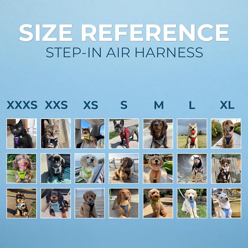 Voyager Step-in Air - Arnês de malha para todas as condições meteorológicas e trela refletora de 5 pés com pega em neoprene, para cães pequenos, médios e grandes, borda preta/rosa, tamanho S
