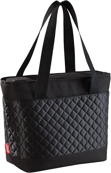 plug in fridge for camping