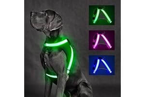 ChalkLit Light Up Dog Harness, No Pull Led Dog Harness Glow-in-The-Dark for Night Walking, USB Rechargeable Lighted Safety Vest for Medium Large Dogs, Adjustable Soft Mesh Fully Illuminated(Green, L)