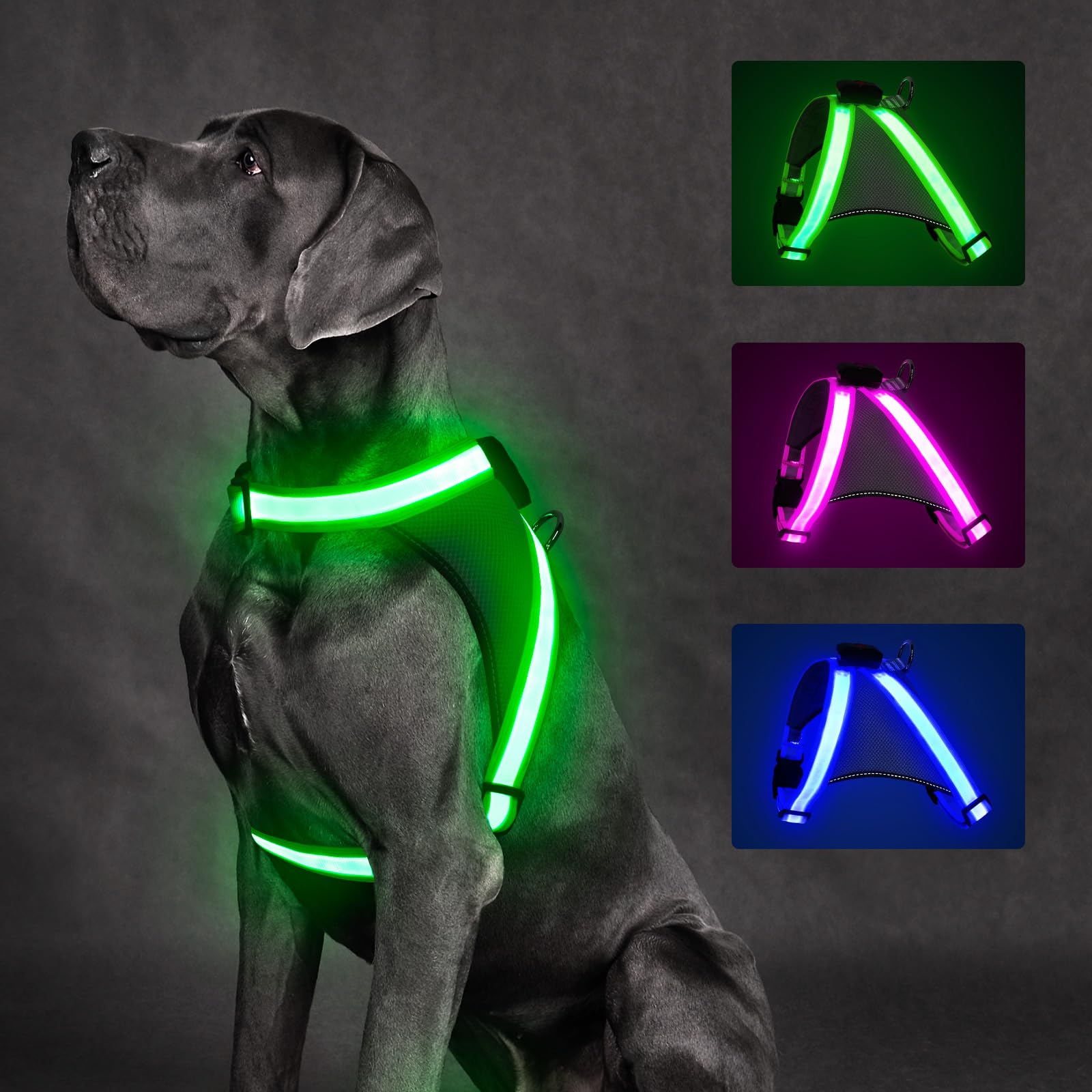 Photo 1 of ChalkLit Light Up Dog Harness, No Pull Led Dog Harness Glow-in-The-Dark for Night Walking, USB Rechargeable Lighted Safety Vest for Medium Large Dogs, Adjustable Soft Mesh Fully Illuminated (Green, M)