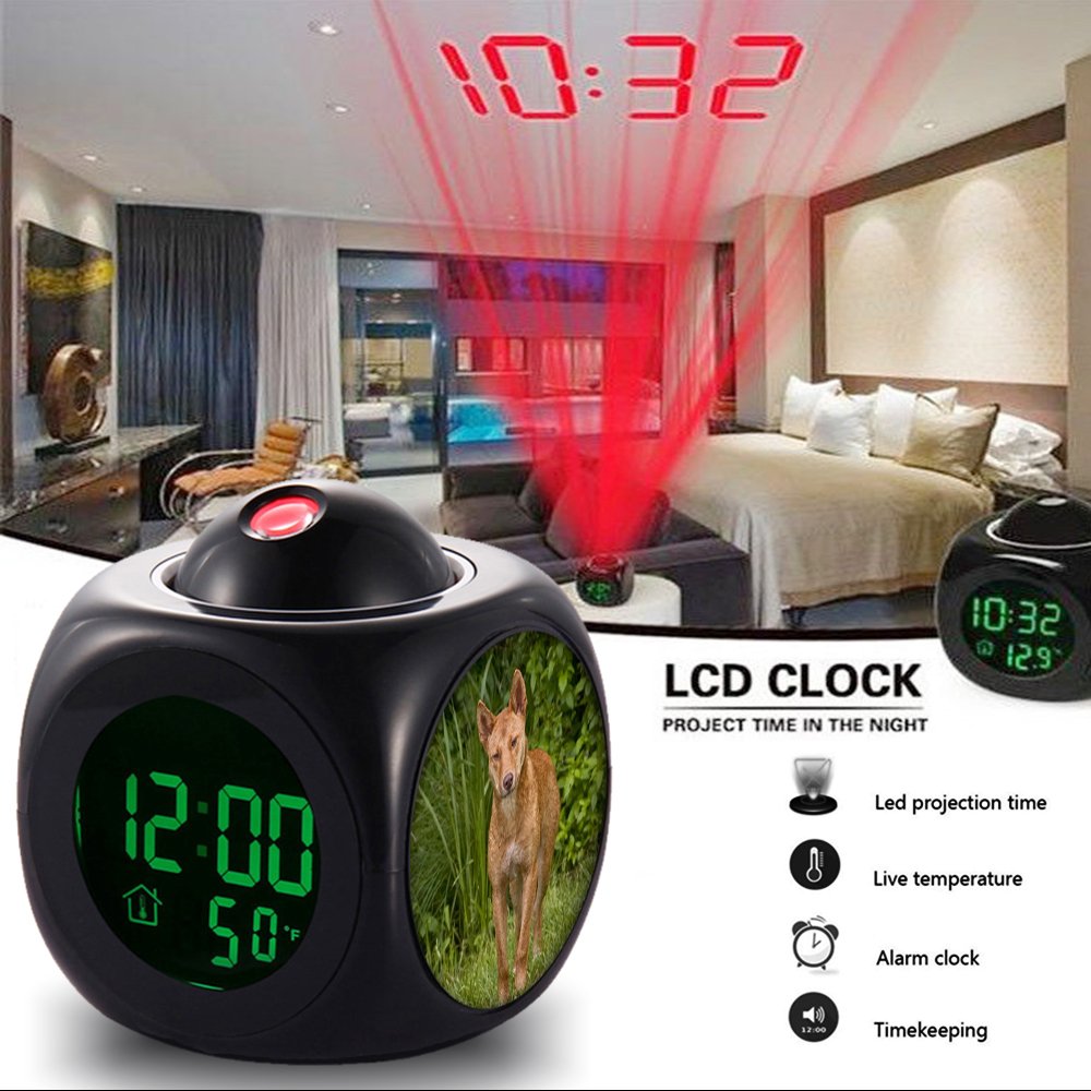 Dog Wild Australia Predator Wolf Canine Girlsight Alarm Clock