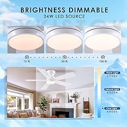 BYKISTOK 46" Flush Mount Ceiling Fan with Lights