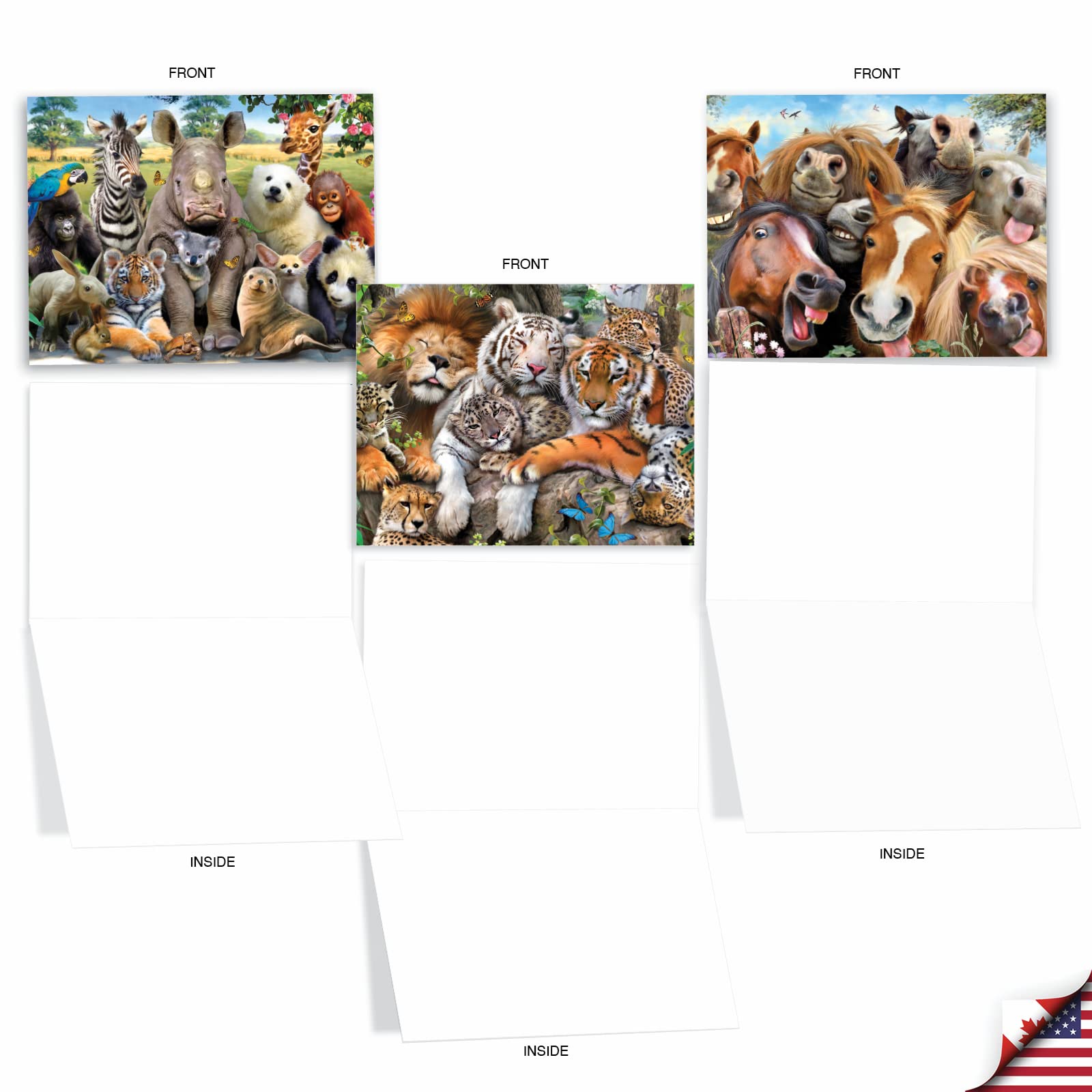 The Best Card Company - 10 Blank Animal Cards Box Set (4 x 5.12 Inch) - Bulk Assorted Pets, Horses, Wildlife Cards for Kids, Camp - Here's Looking at Zoo M6639OCB
