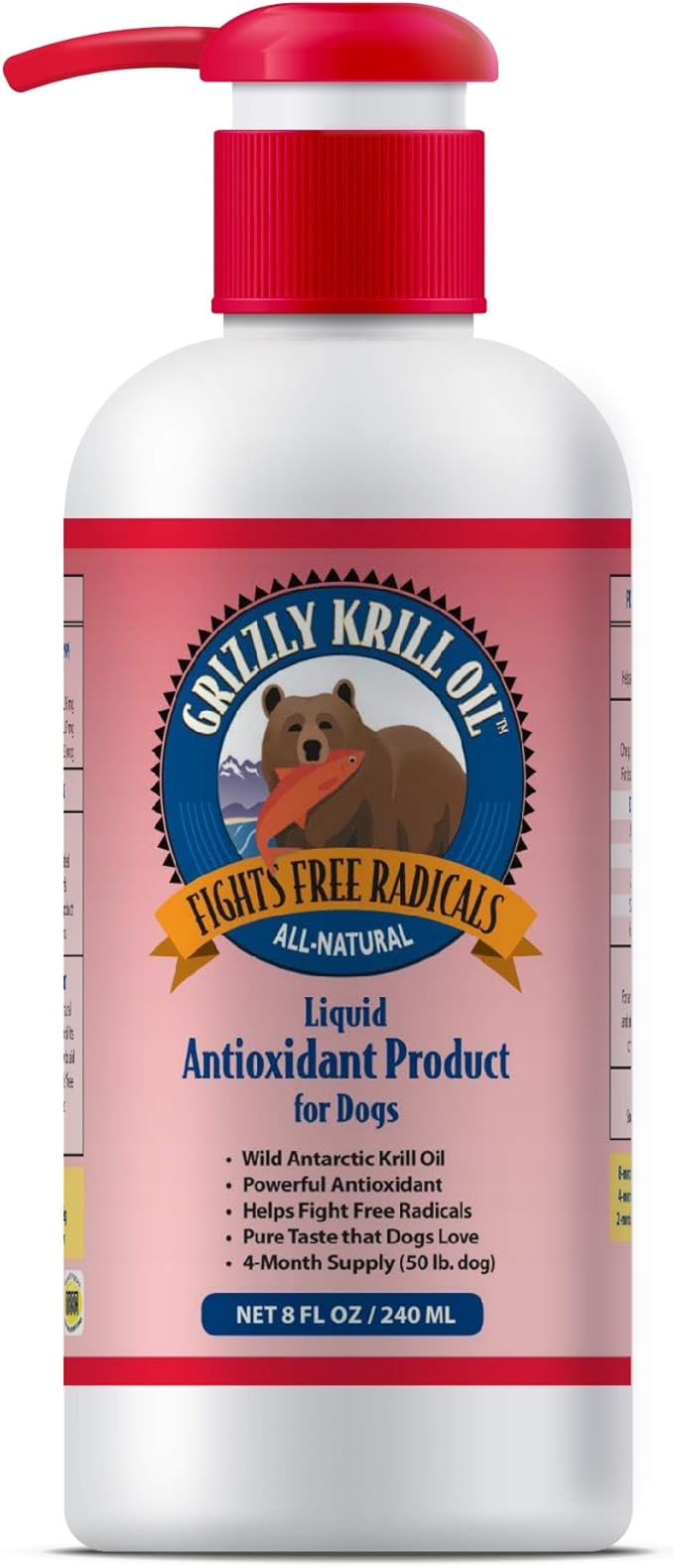 small dogs that need rehoming