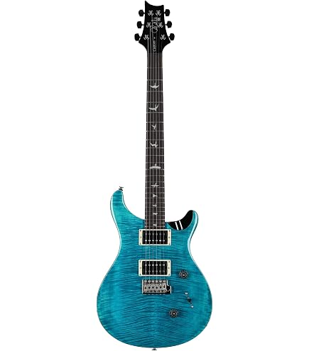 Amazon.com: PRS SE Custom 24 Quilt, Teal Black with Gigbag