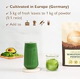 Sevenhills Wholefoods Organic Wheatgrass Powder Europe 500g view 3