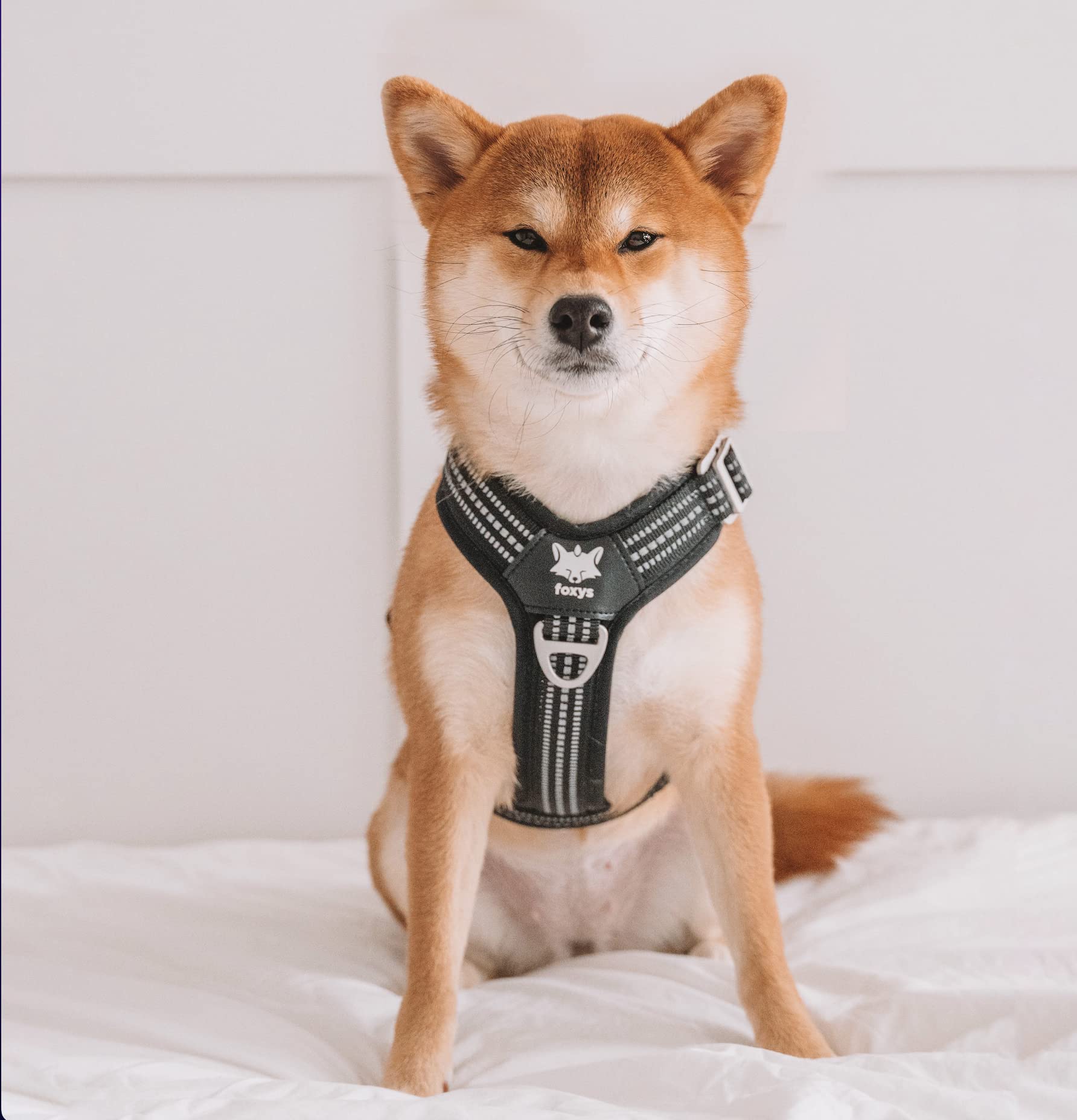 Dog Harness, Non-Pull Vest with Front and Back Ring, Lightweight, Adjustable and Reflective 3M Pets Safety Closure, Reinforced Aluminium Buckle on Neck and Waterproof (S, Black)