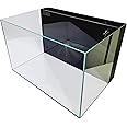 LIFEGARD Low Iron Ultra Clear 4 Gallon Crystal Aquarium with Built in Back Filter – 45° Beveled Edge, Rimless Glass, Rectangular Style with Directional Jet Flow