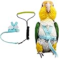 Pet Parrot Bird Harness Leash Adjustable Bird Flying Harness Traction Rope with Cute Wing for Parrots Pigeons Budgerigar Lovebird Cockatiel Mynah Outdoor Training Toy (S, Blue)