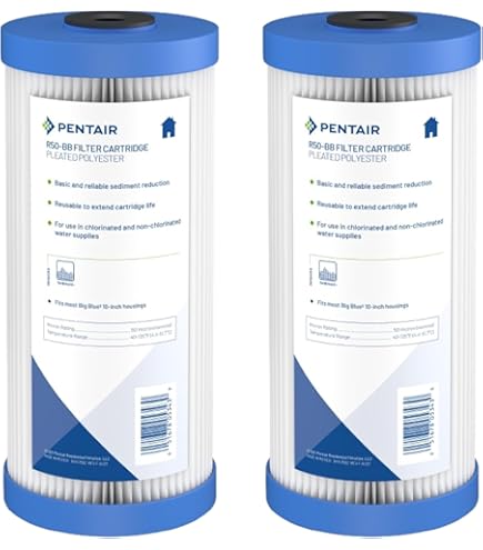 Pentair Pentek 150469 Caixa de filtro azul grande, NPT #10 para