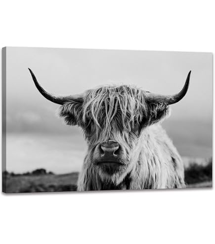 Stupell Industries Highland Cow And Calf Giclée-Kunst, gerahmt, Design von Jean Plout