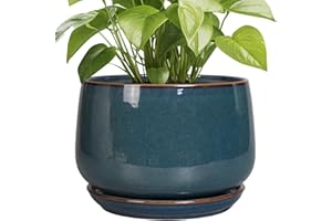 G EPGardening Ceramic Plant Pots - 9 Inch Round Modern Planter Indoor with Drainage and Tray for Indoor Outdoor Flower, Office Decor, Gardening Gifts, Retro Blue