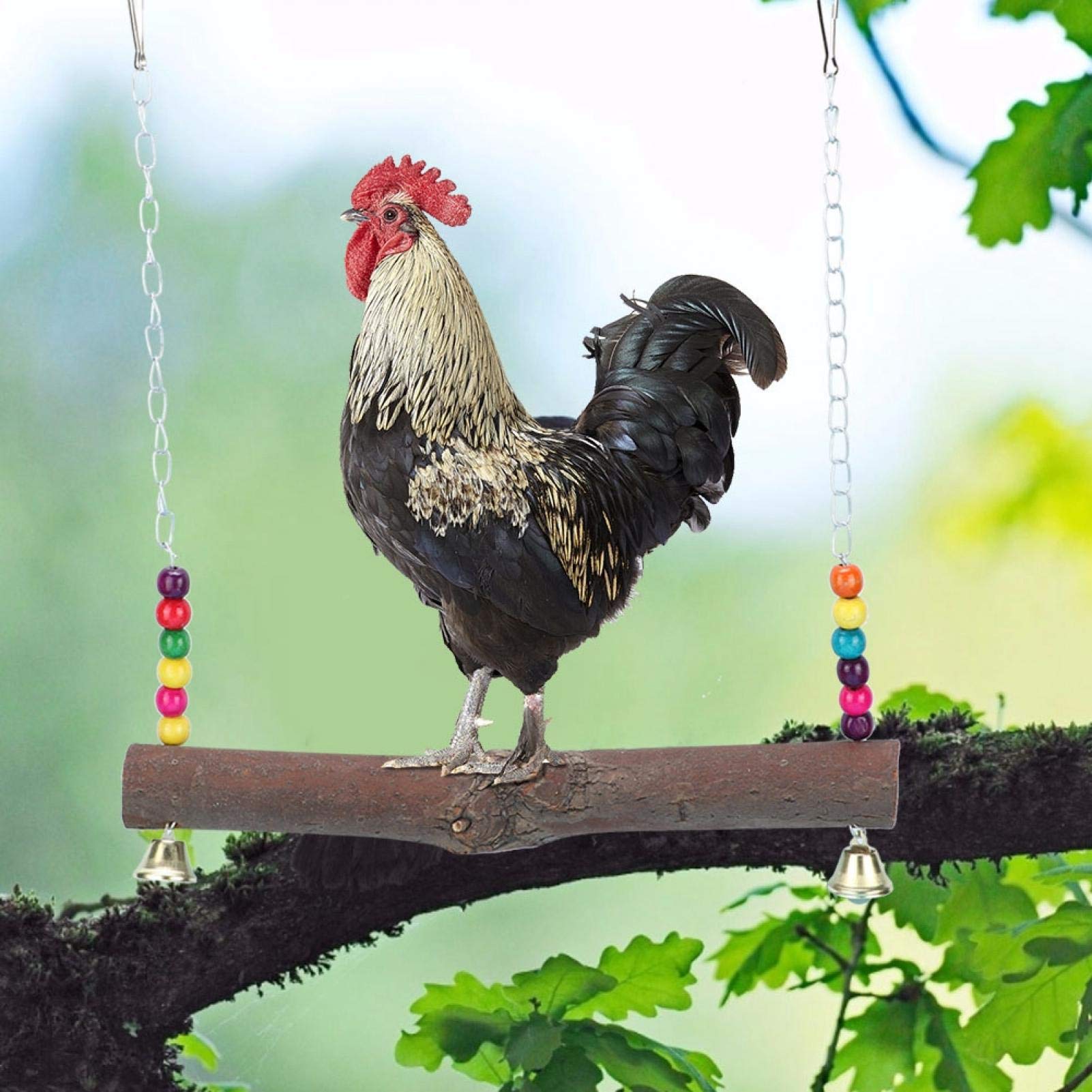 Fournyaa Cage Hanging Toy, Natural Wood Chicken Swing, for Home(Chicken swing)