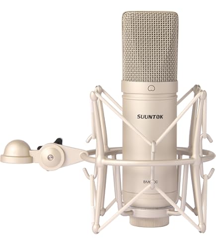 Amazon.com: LyxPro Condenser Microphone for Studio, Vocals