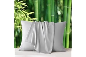 WARMDERN Light Grey Pillow Covers Queen Cooling Pillow Cases, Oeko-TEX Soft Silky Breathable Pillow Shams Set of 2 Pillowcase with Envelope Closure(Light Grey, Queen, 20x30)