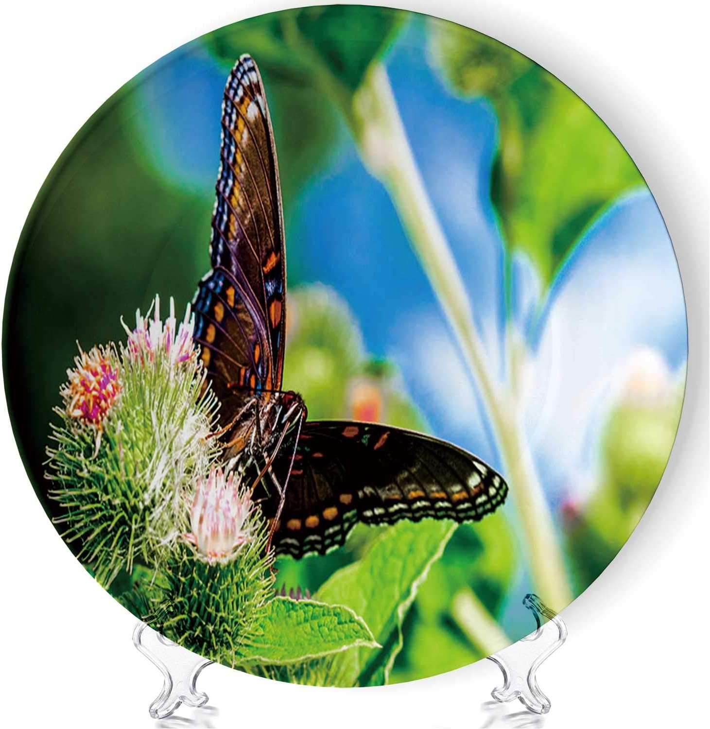C COABALLA Red Spotted Admiral Art Ceramic Collectible Display Plate Crafts,173801 for Coffee Shop,7''