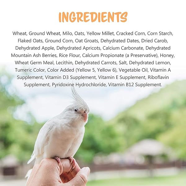 VITAKRAFT CRUNCH STICKS COCKATIEL TREAT – APPLE AND HONEY – PET BIRD TREAT TOY