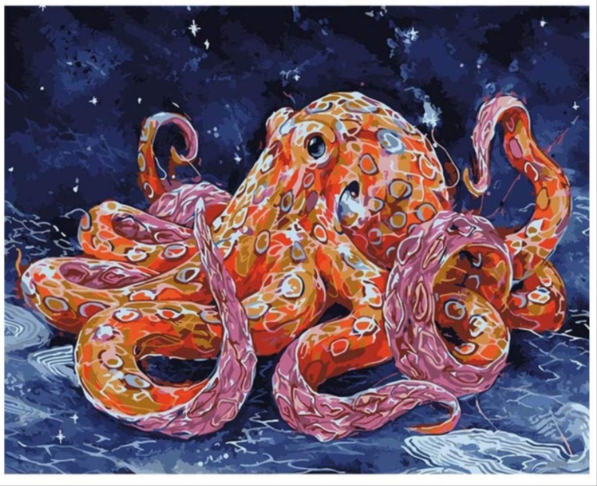 Zhkn Diy Oil Painting By Numbers Octopus Pictures Diy Painting On Canvas For Living Room Wall Art Home Decor And Kid Gift Framed 40x50cm Amazon Co Uk Kitchen Home