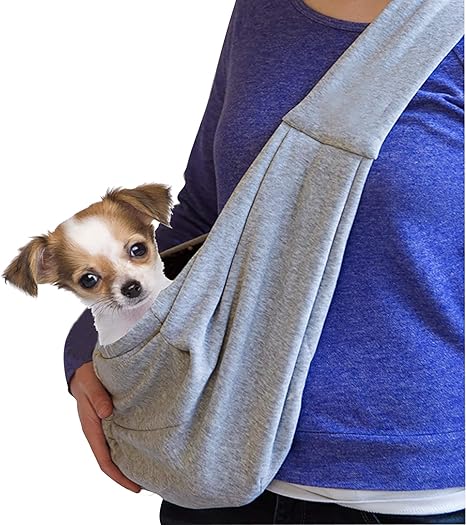 coach beltbag