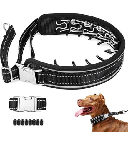 Dog Harness Pack Leader Collar Cesar Millan Cesar Millan Slip Lead