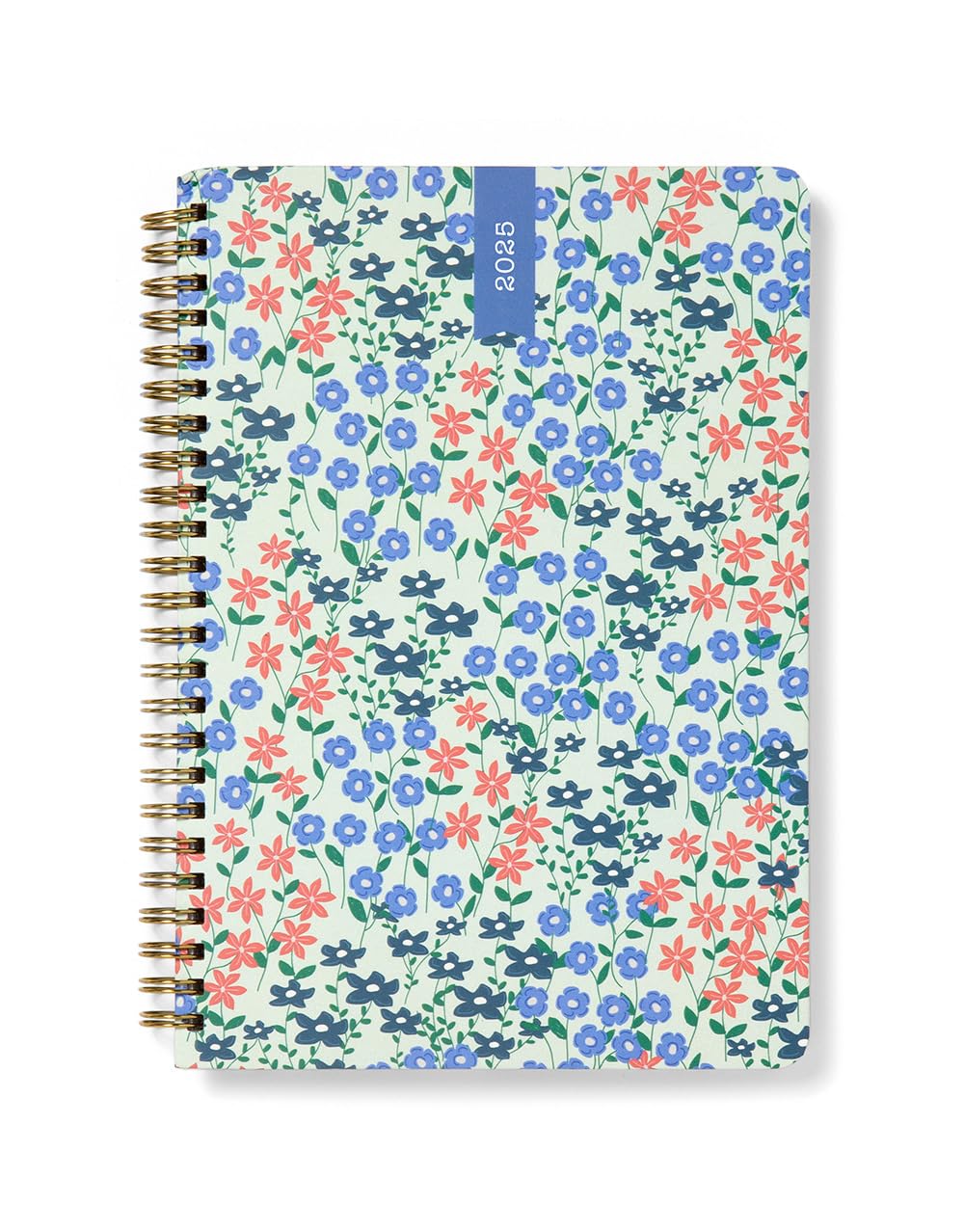 Letts of London Spring Valley A5 week to view 2025 diary - mint