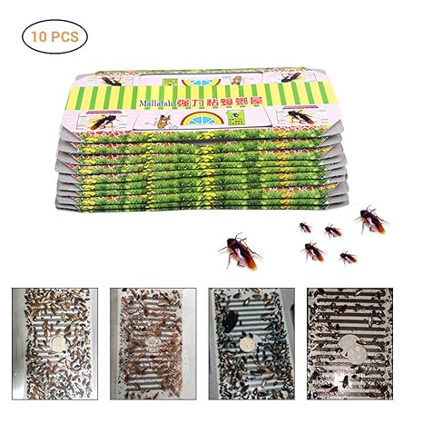 Neborn 10 Pcs Kakerlake Haus Kakerlake Falle Abweisend Totung