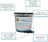 Evolution Aqua Pure Pond 1000ml Beneficial Bacteria for Ponds view 3