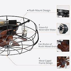 LEDIARY 20" Caged Ceiling Fans with Lights and