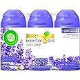 AirWick Freshmatic Air Freshener, Lavender & Chamomile, Upto 210 Days of Freshness, 3 Refills (180g Each)
