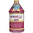 EasyCare 20064 Scaletec Plus Descaler and Stain Remover, 64 oz. Bottle
