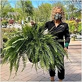 UV Resistant Lifelike Artificial Boston Fern - 2024 New Faux Boston Ferns Outdoor Planter Large, Realistic Fake Feen Hanging Silk Fern Stems Indoor Basket Plant Urn Fillers Front Porch (2, Green)