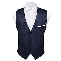 Barry.Wang Mens Navy Blue Vest Striped