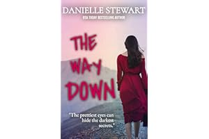 The Way Down (Broken Mirror Book 1)