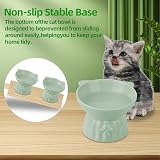 MeetoZ Ceramic Elevated Cat Bowls, 2 Wide Raised Food & Water Dishes (Green) view 5