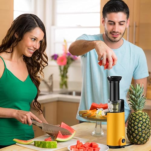 Masticating Juicer, Small Slow Juicer Cold Press Juicer machine