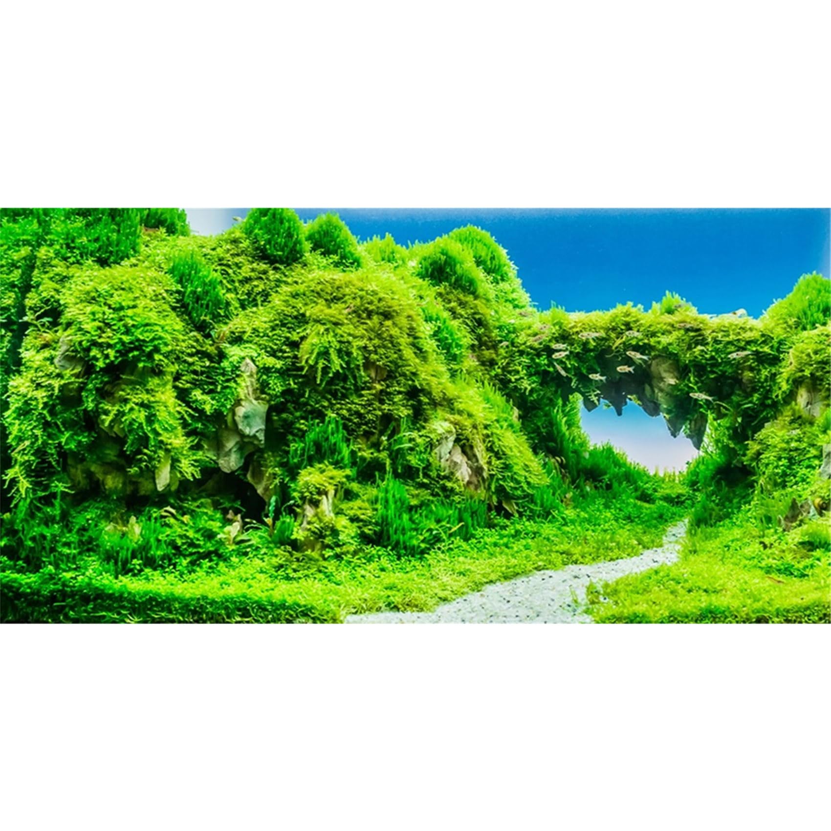 MIRRORANG 120x61cm Aquarium Background Green Trees Plant Reptile Habitat Fish Tank Background Bearded Dragon Vivarium Background Vinyl